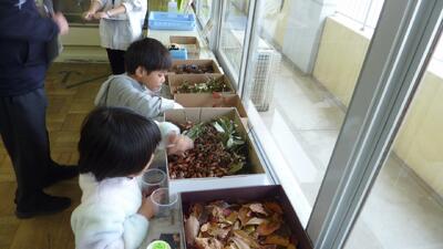 どれにしようかな