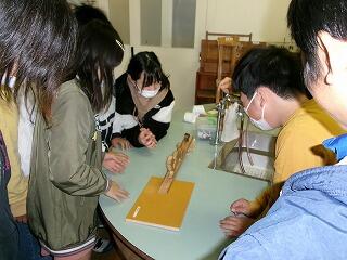 どっちが速いかな